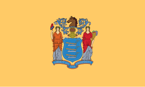 Flag of New Jersey.svg